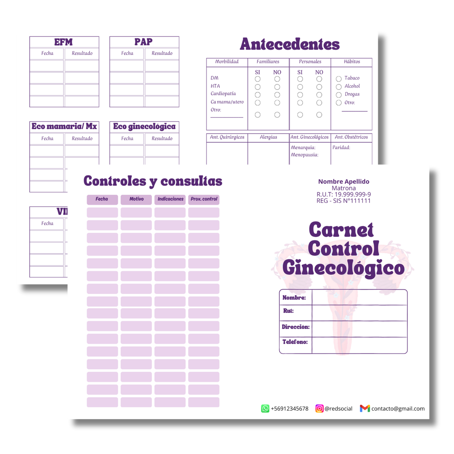 Carnet de Control Matronas